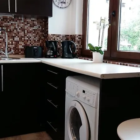 דירה Victoriei Holiday Studio