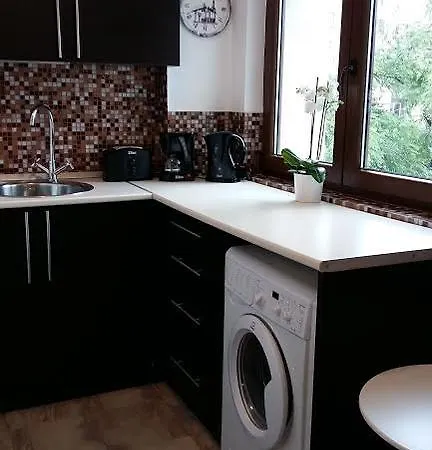 דירה Victoriei Holiday Studio *